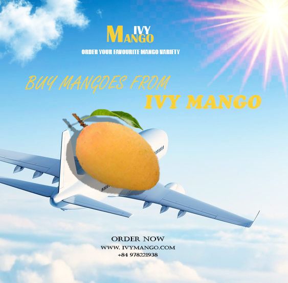 POSTER - MANGO