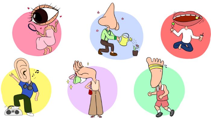 Nếu bộ phận cơ thể là người