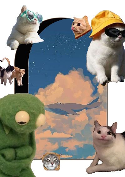 meme meow thập cẩm