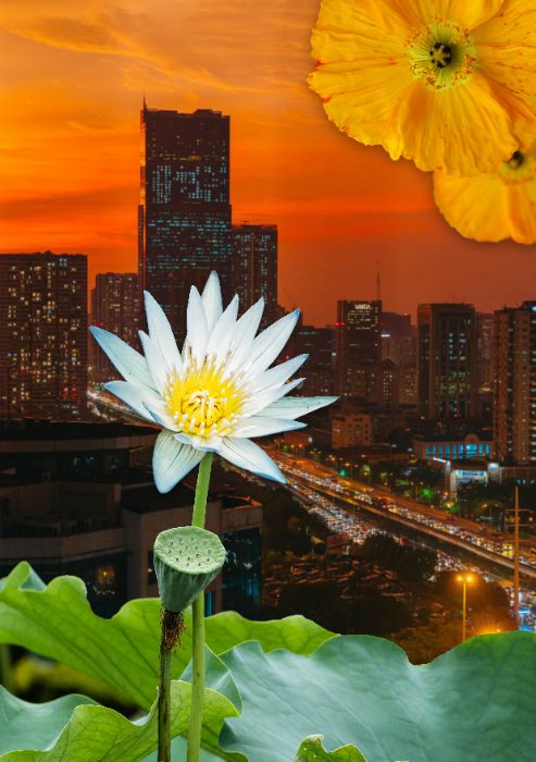 btvn-Trần Thu Trà