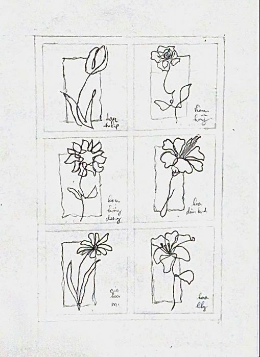 Bài tập cuối môn: Bộ collection về chủ đề các loài hoa (One-line Art)
