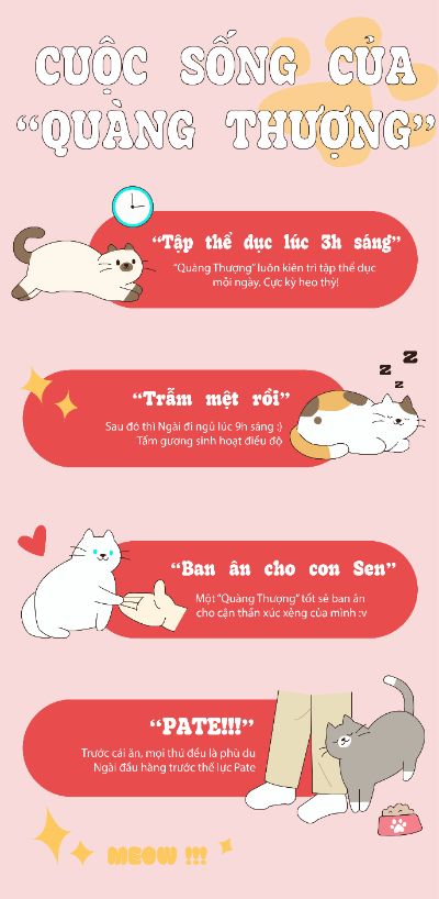 Infographic