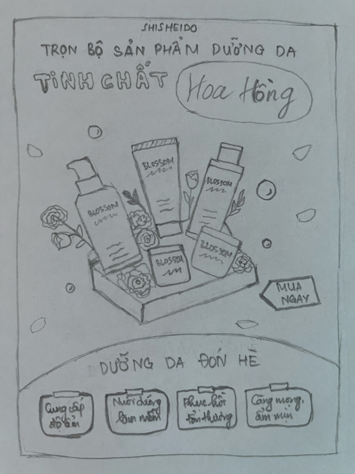 Layout sketch