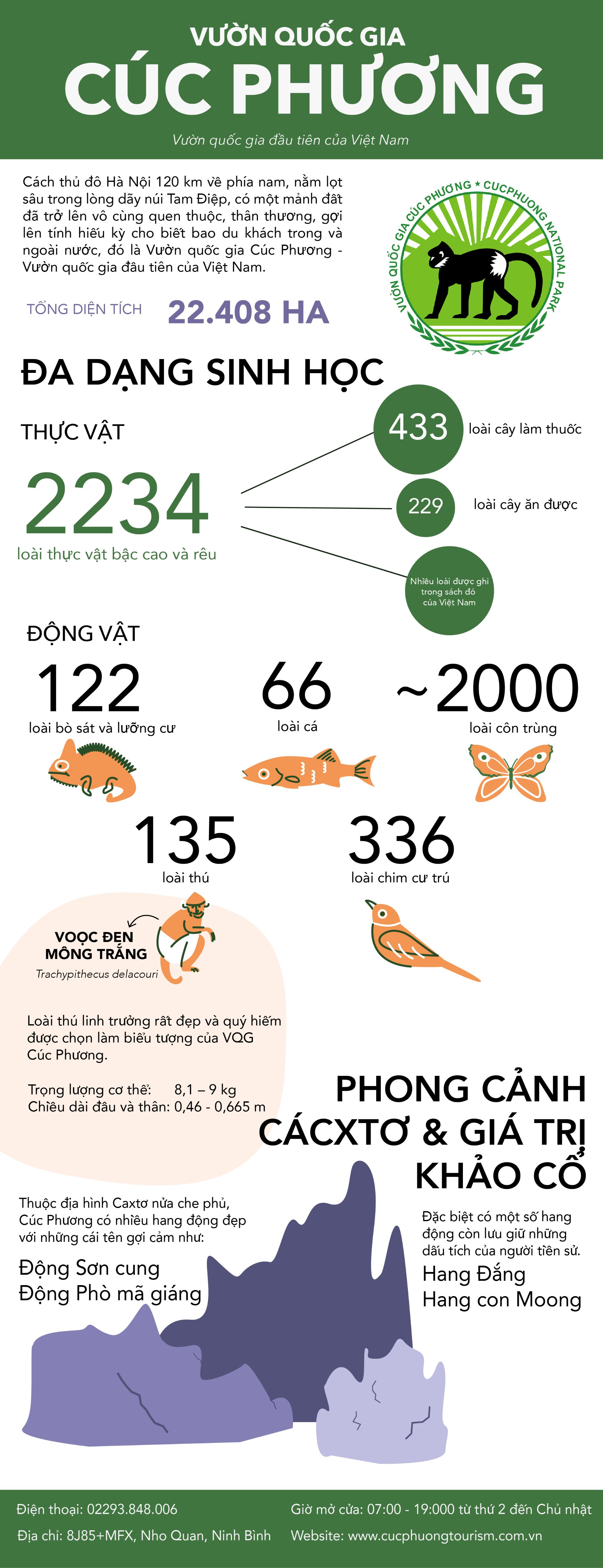 Infographic VQG Cúc Phương