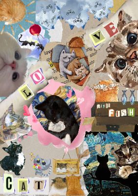 various cat