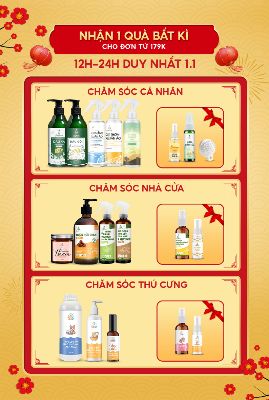 bài tập cuối kì