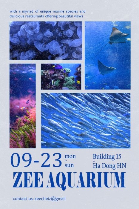 sửa btvn