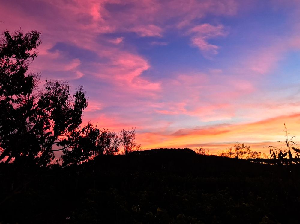 #sky