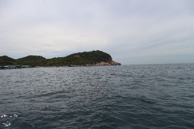 MŨI CÁ HEO TRÊN VỊNH VĨNH HY - Chu Thị Thanh Hoa
