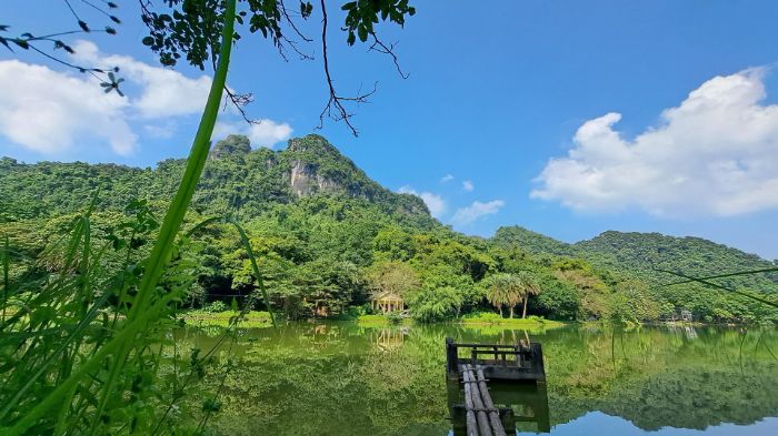 Kich bản