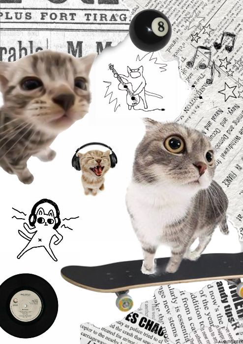 Cat Party
