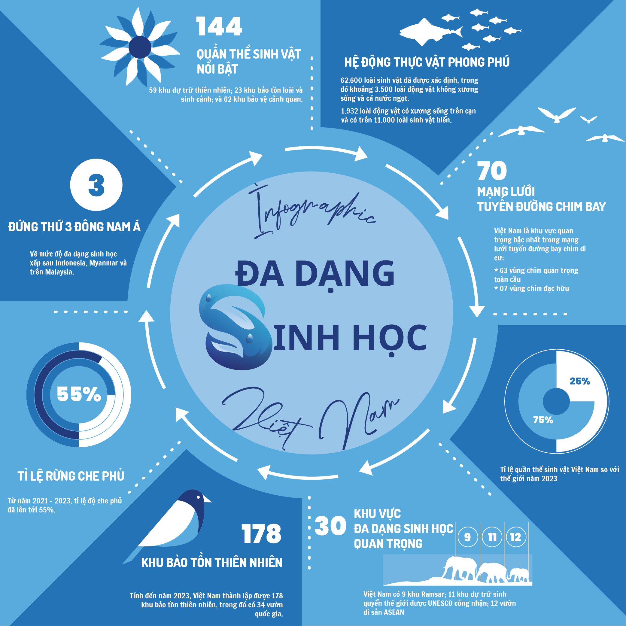BÀI TẬP CUỐI KỲ