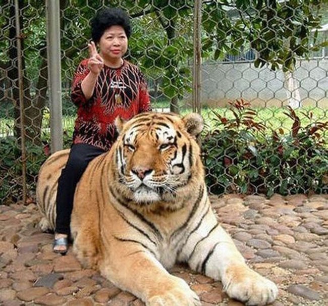 BTVN buổi 2