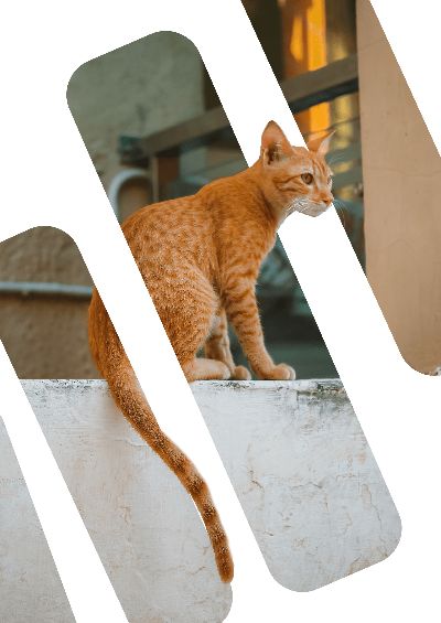 bài tập buổi 2