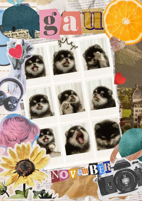 [Nộp lại] Bé Gấu - Collage art