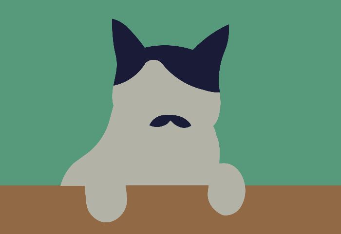 cat