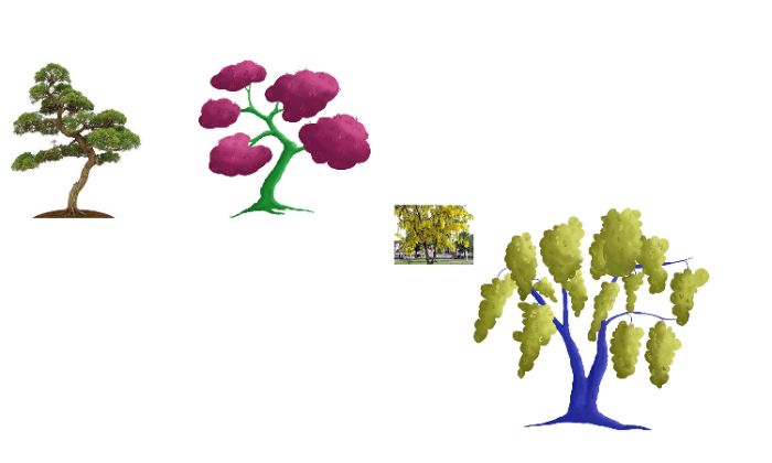 Vẽ cây