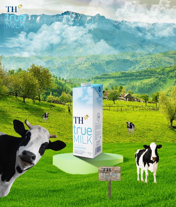 BTVN BUỔI 7