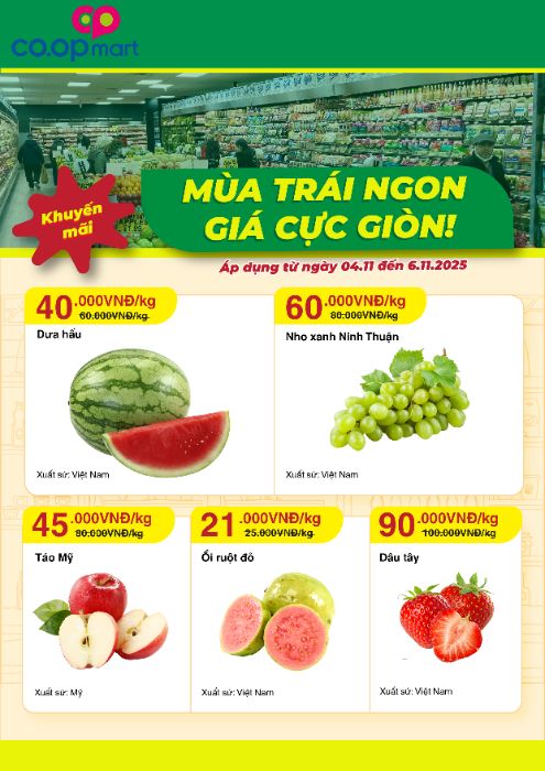btvn 16