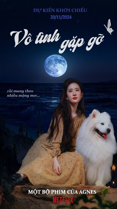 Vô tình gặp gỡ