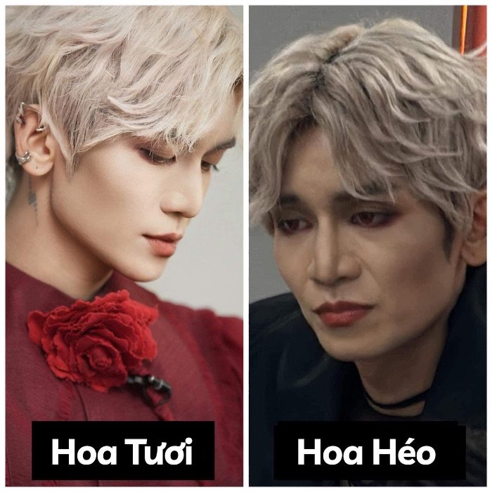 Quy người về khối & cử chỉ