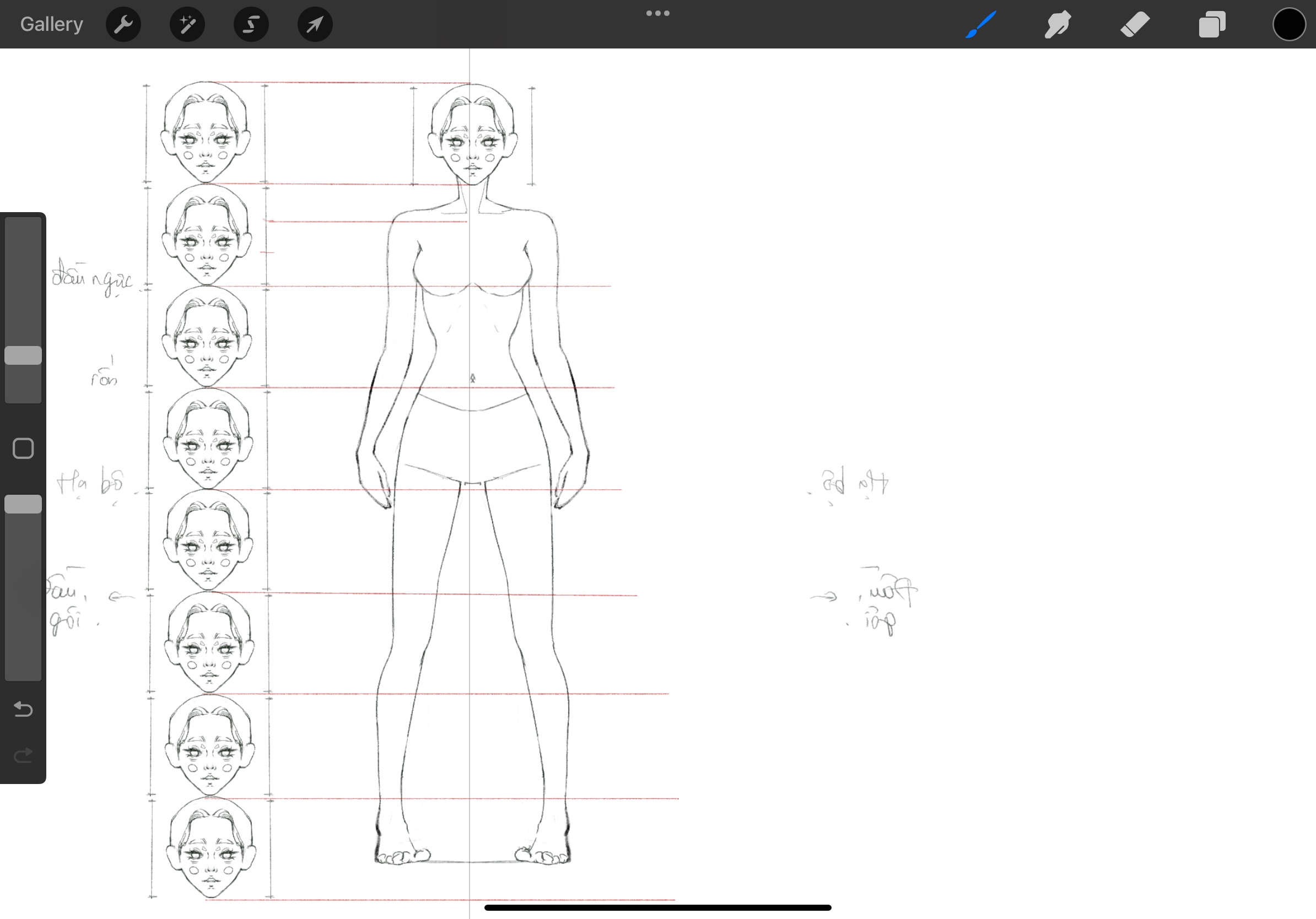 Anatomy