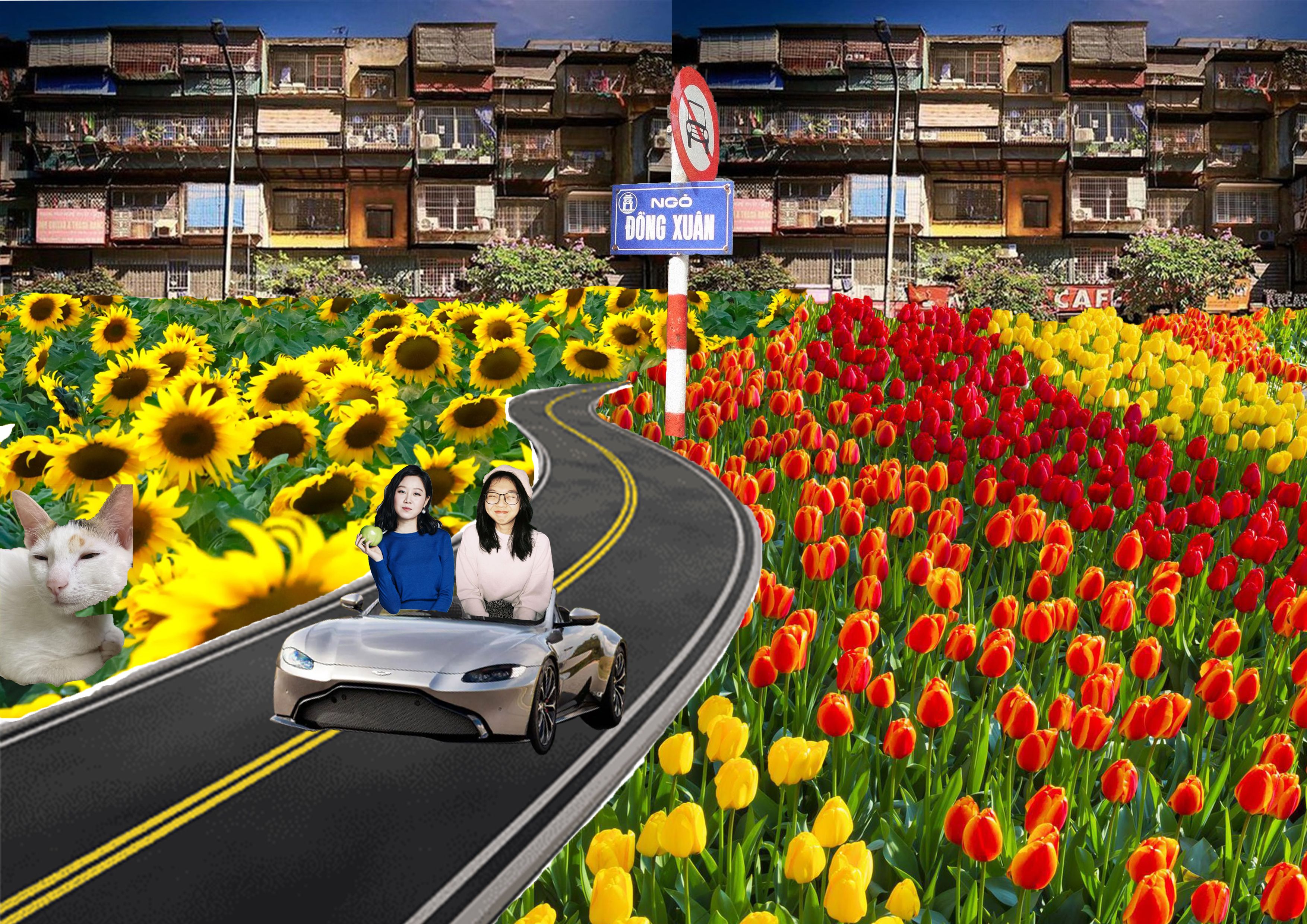 BTVN buổi 2