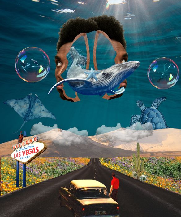 Echoes of the Mind