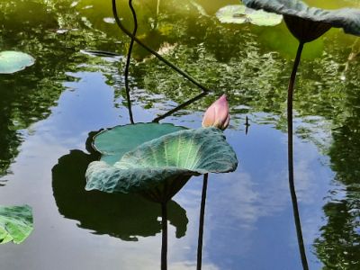 Bài cuối kỳ