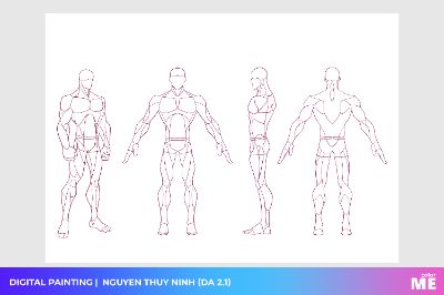 ANATOMY