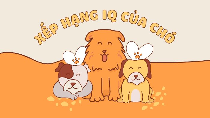 BTVN-CK-Tạ Thùy Dương