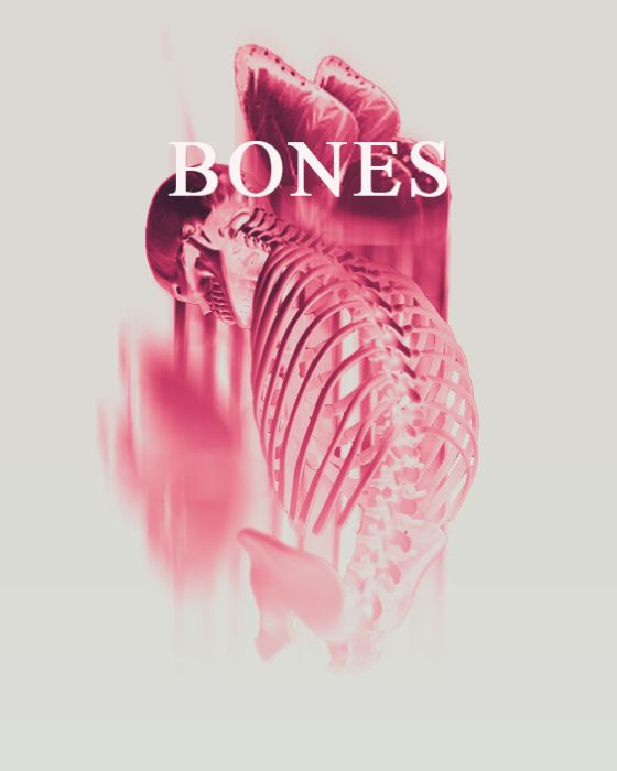 BONES