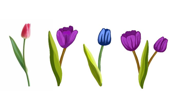 buổi 5