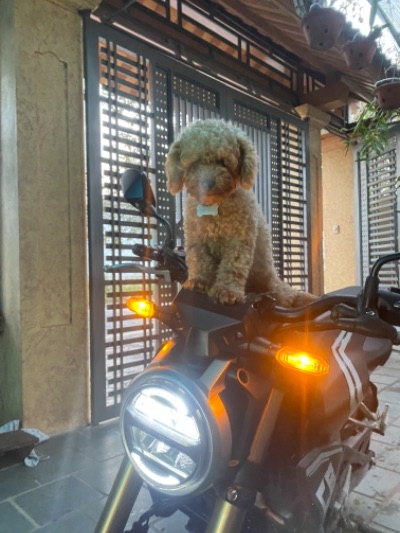 Ảnh không tiêu đề