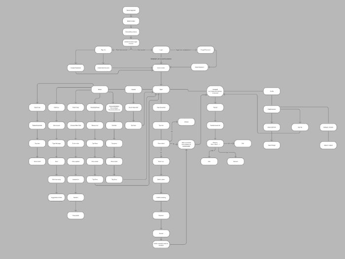 User Flow