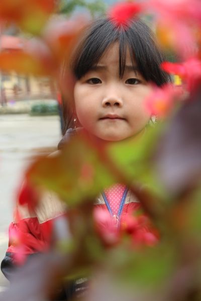 Ha giang