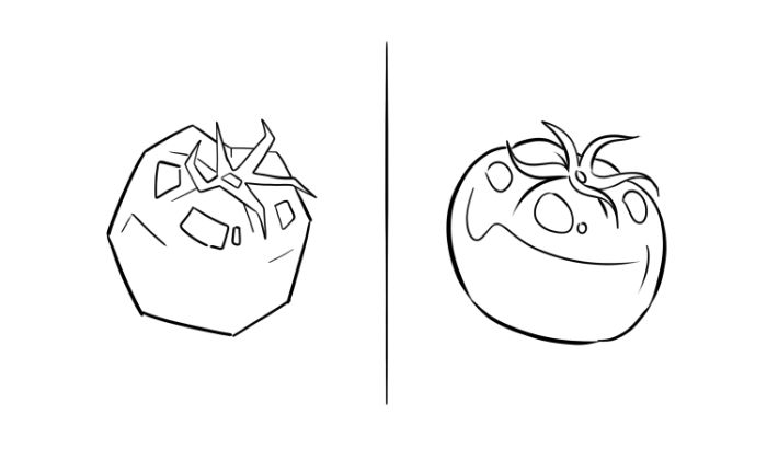 Cà chua