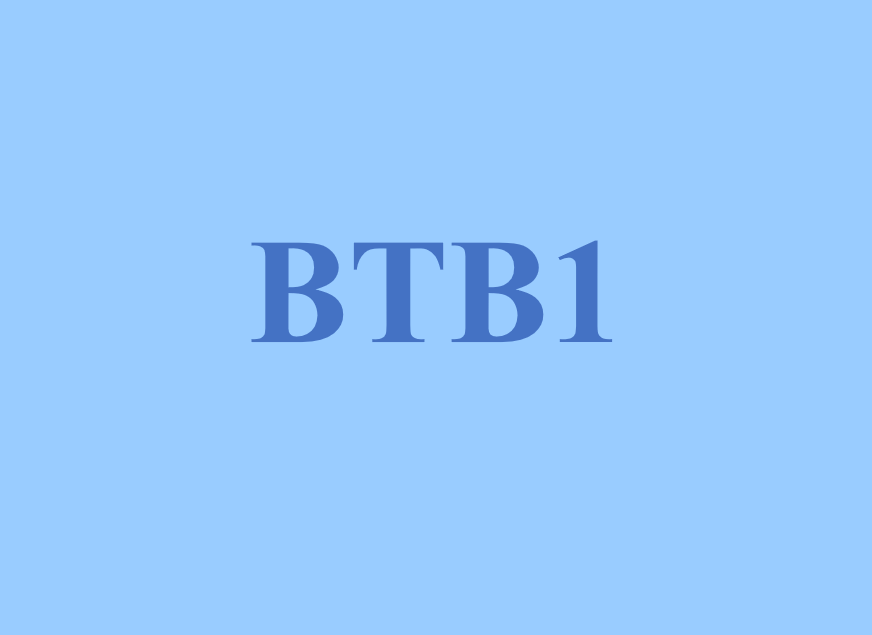 BTB1