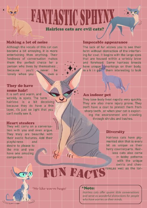 fantastic sphynx