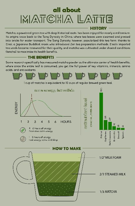 Matcha - Infographic