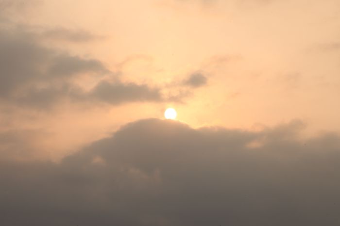 lsv