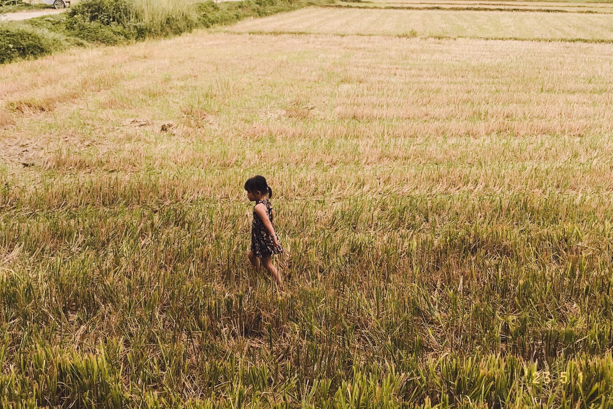 Buổi sáng tại vùng quê Bình Định