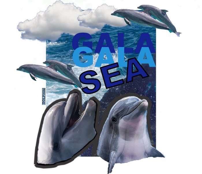Dolphin and Galasea
