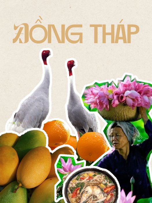 BAI TAP 2