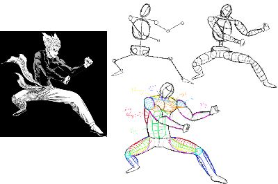 Buổi 19 anatomy: Các nhóm cơ