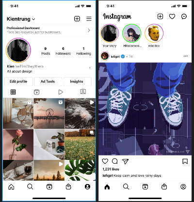 Instagram profile & newfeed