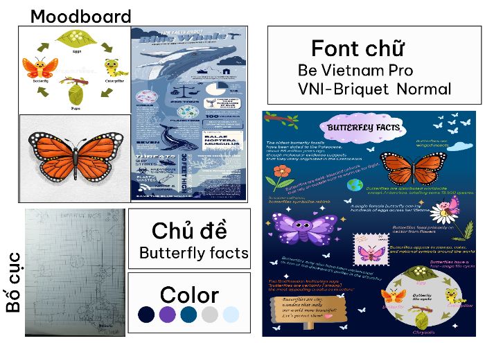 bố cục
