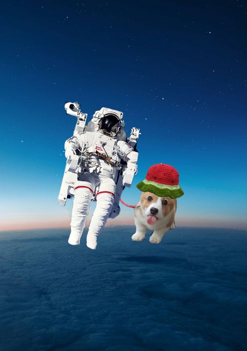 Corgi bay vào vũ trụ