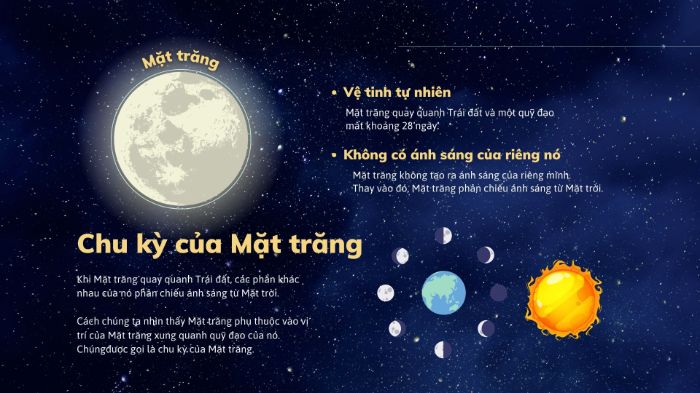 BTVN 3 - Trần Ngọc Phương Anh