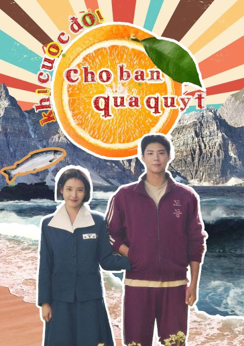 khi cuộc đời cho bạn quả quýt